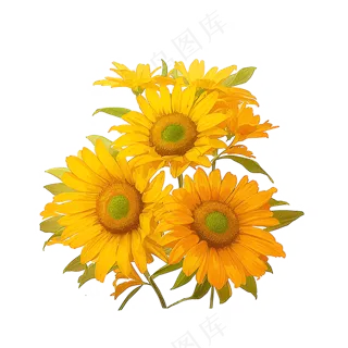 黄色向日葵花朵免抠素材43