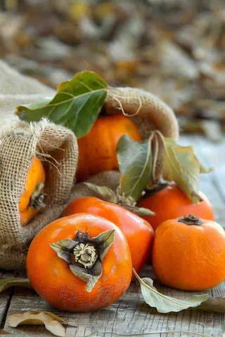 金黄成熟柿子水果秋天丰收秋分立秋摄影图