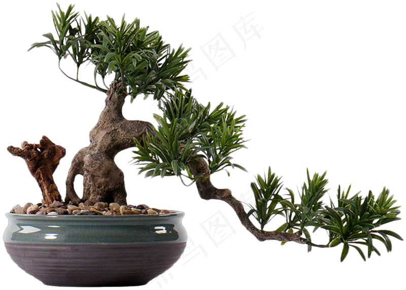 免抠盆景植物
