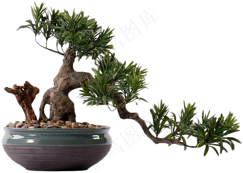 免抠盆景植物