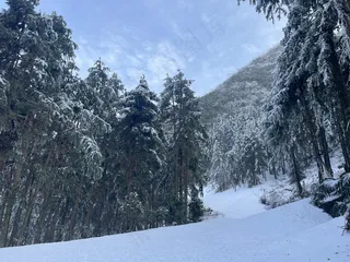 清晨的雪景