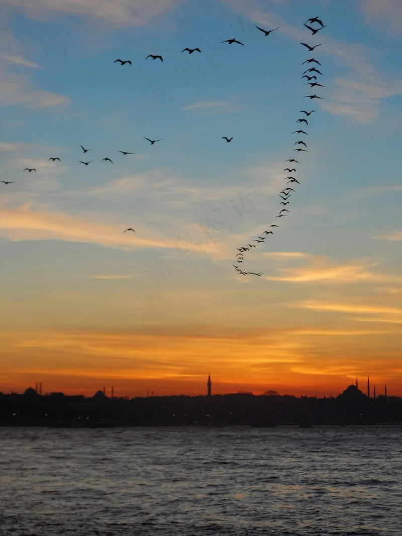 橙霞映照归途的候鸟