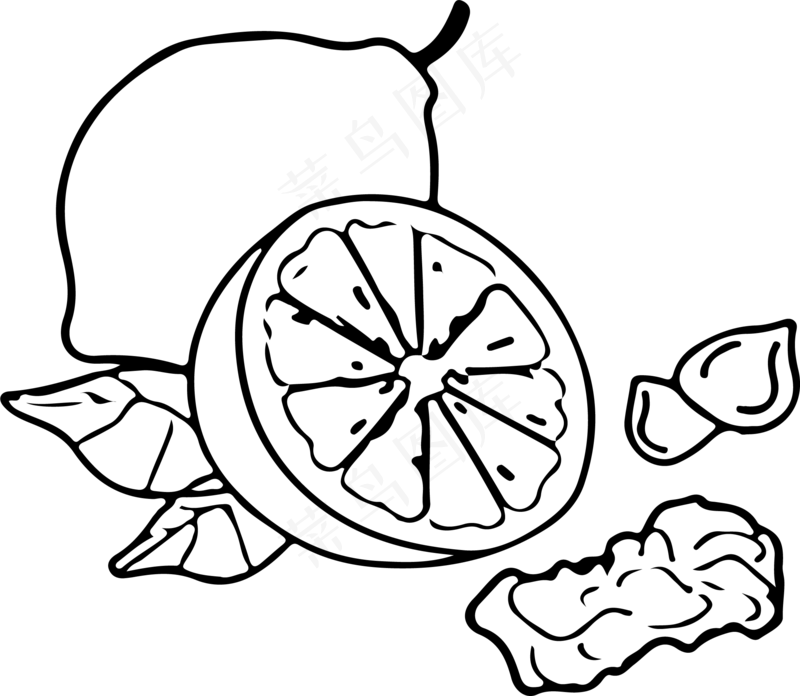 柠檬线条线稿素材ai矢量模版下载