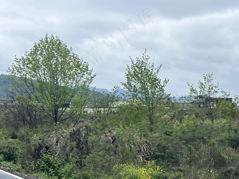 返乡的绿野