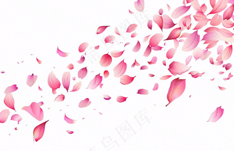 粉色花瓣飘落免抠(1360x880)