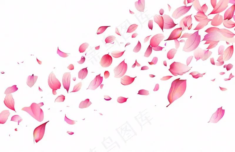 粉色花瓣飘落免抠(1360x880)