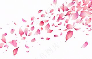 粉色花瓣飘落免抠
