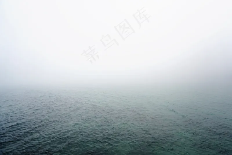 云雾森林图片