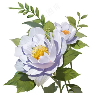 植物花朵素材 (6)