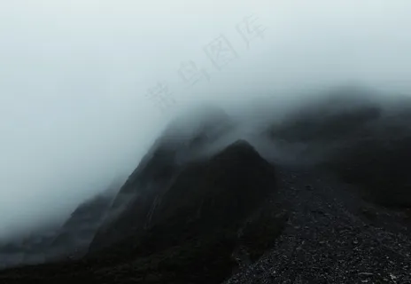 云雾森林图片 云雾森林图片