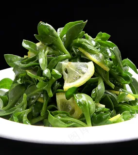 春意发芽。20元 春意发芽。20元