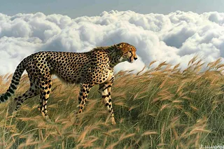 户外活动的猎豹保护动物摄影图