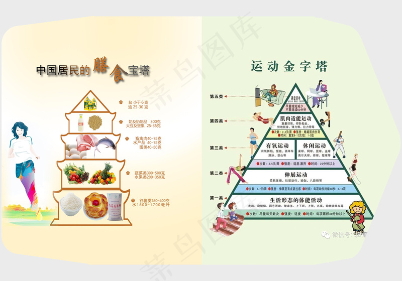 中国居民的膳食宝塔和运动金字塔psd模版下载