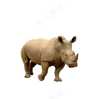 免抠行走的大犀牛
