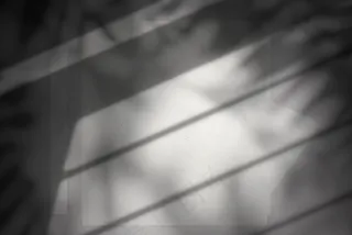 单色硬壳书籍质感样机49