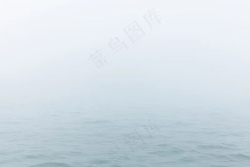 云雾森林图片