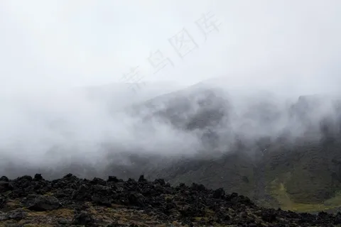 云雾森林图片 云雾森林图片