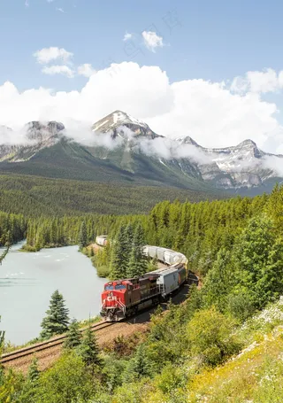 云雾缭绕间火车穿林而过