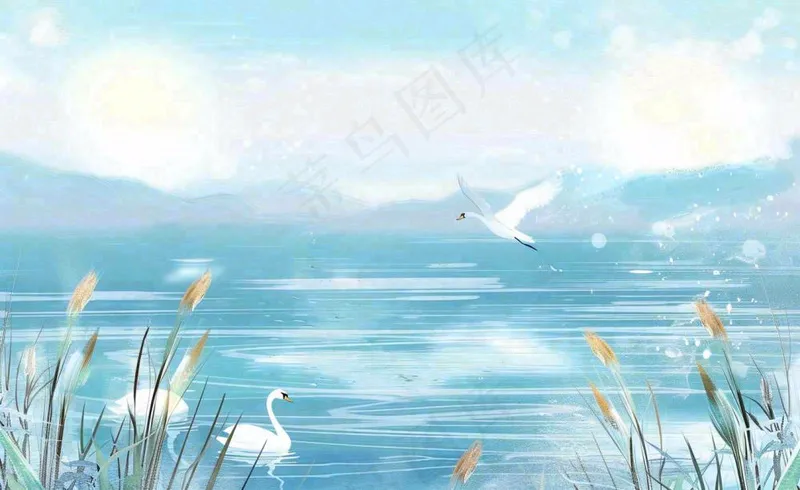 唯美白露插画白鹭动物风景秋天景色寒冷清冷芦苇丛寒露背景(1408x864)