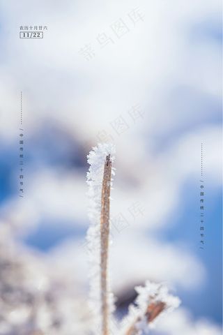 小雪传统24节气海报模板502