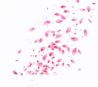 花瓣桃花樱花飘零插画免抠