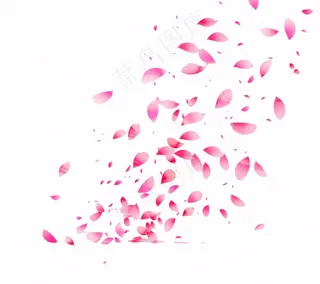 花瓣桃花樱花飘零插画免抠