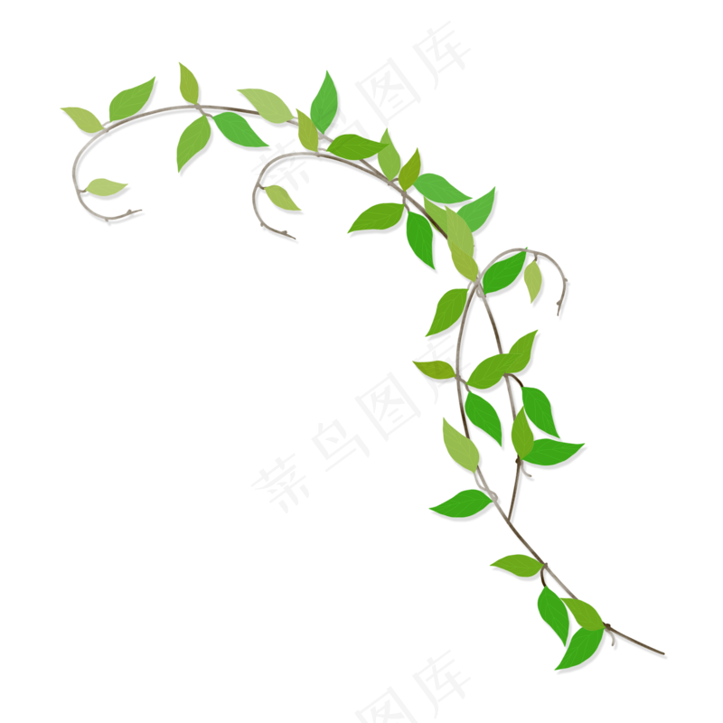 清明绿色缠绕藤蔓