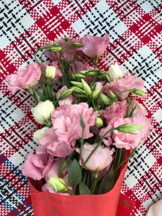 浪漫的粉色玫瑰花束1