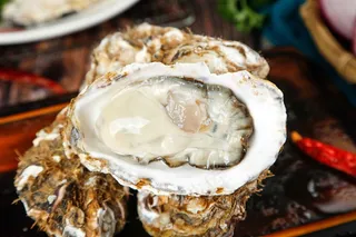 新鲜生蚝海鲜食材