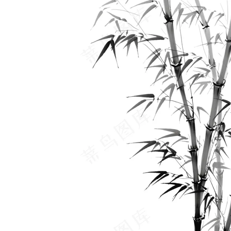 竹林竹叶水墨画古风黑白插画免抠(1024x1024)