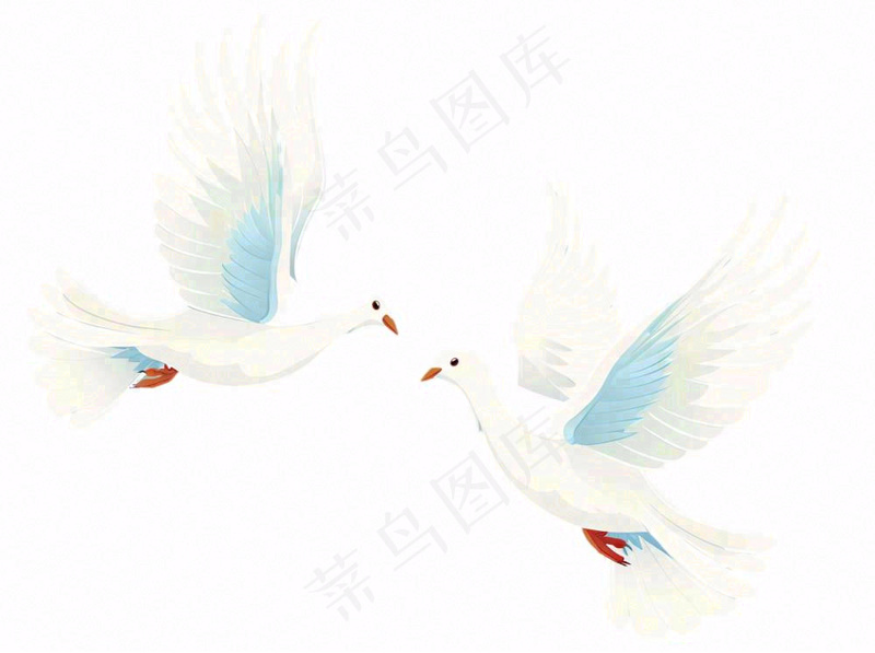 飞鸽白鸽和平鸽鸟卡通插画免抠(1264x944)