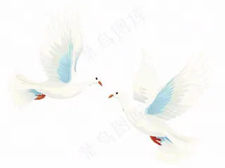 飞鸽白鸽和平鸽鸟卡通插画免抠