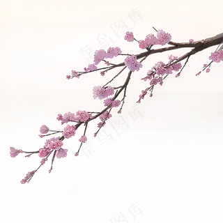 粉色手绘梅花一枝梅素材14