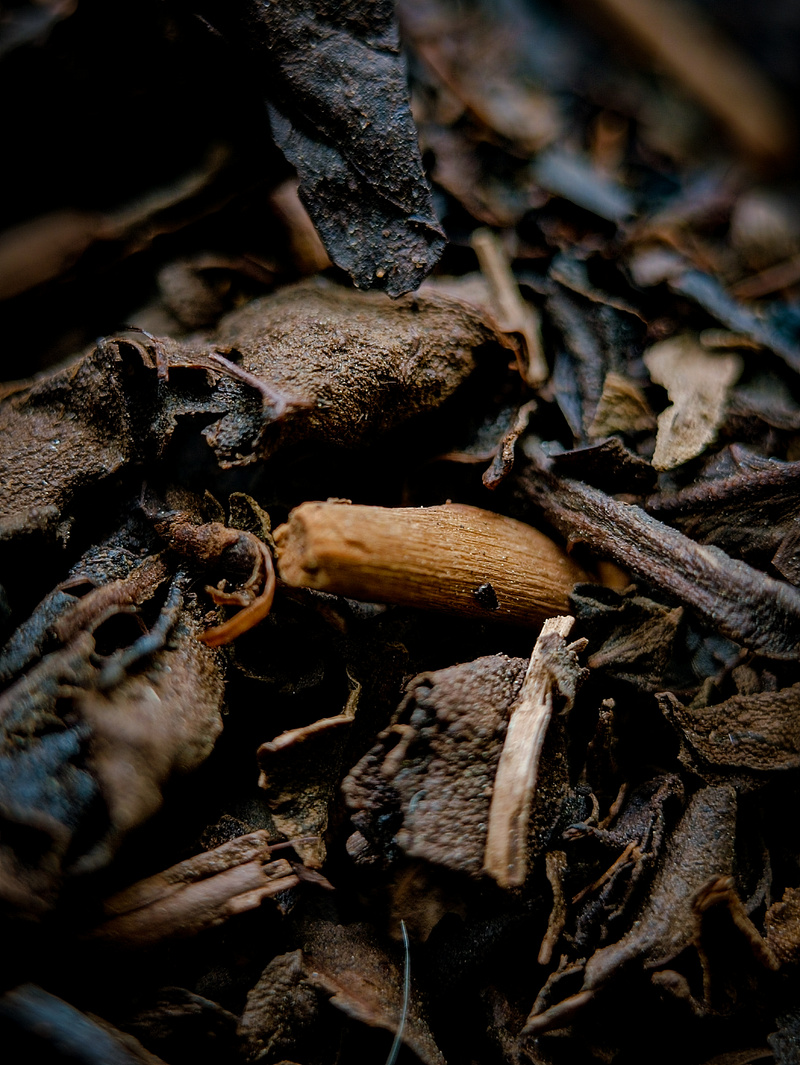 茶叶茶渣茶饮