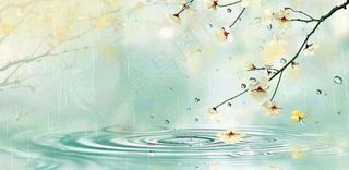 春天春暖花开梅雨季雨水谷雨黄花插画背景