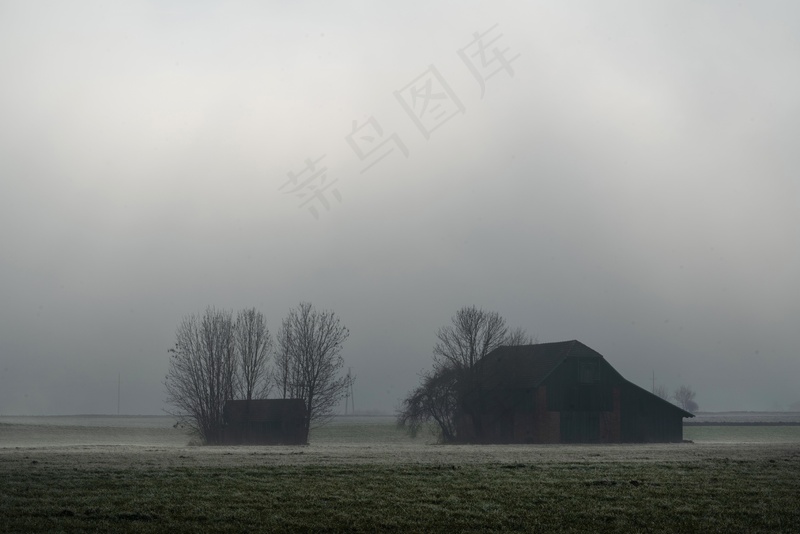 云雾森林图片