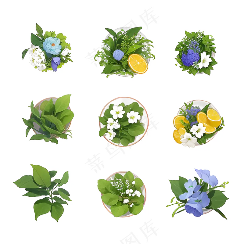 绿色手绘小植物花草系列免抠素材66