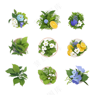 绿色手绘小植物花草系列免抠素材66
