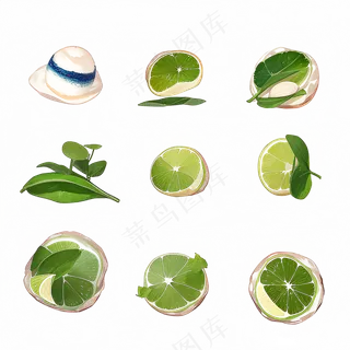 手绘练习小植物花草系列53