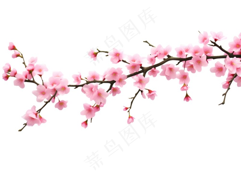 粉色樱花桃花枝条春天卡通插画免抠(1900x1418)