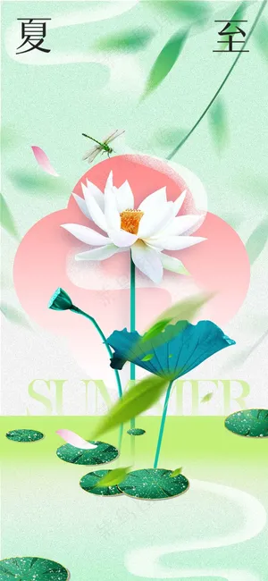 夏至节气传统活动海报