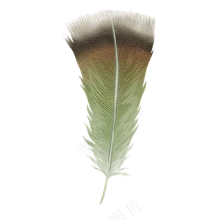 水彩羽毛免扣