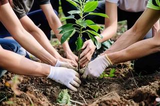 植树树苗保护环境摄影图