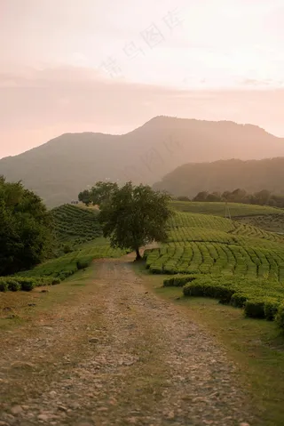 绿色朦胧的山丘