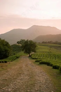 绿色朦胧的山丘 绿色朦胧的山丘