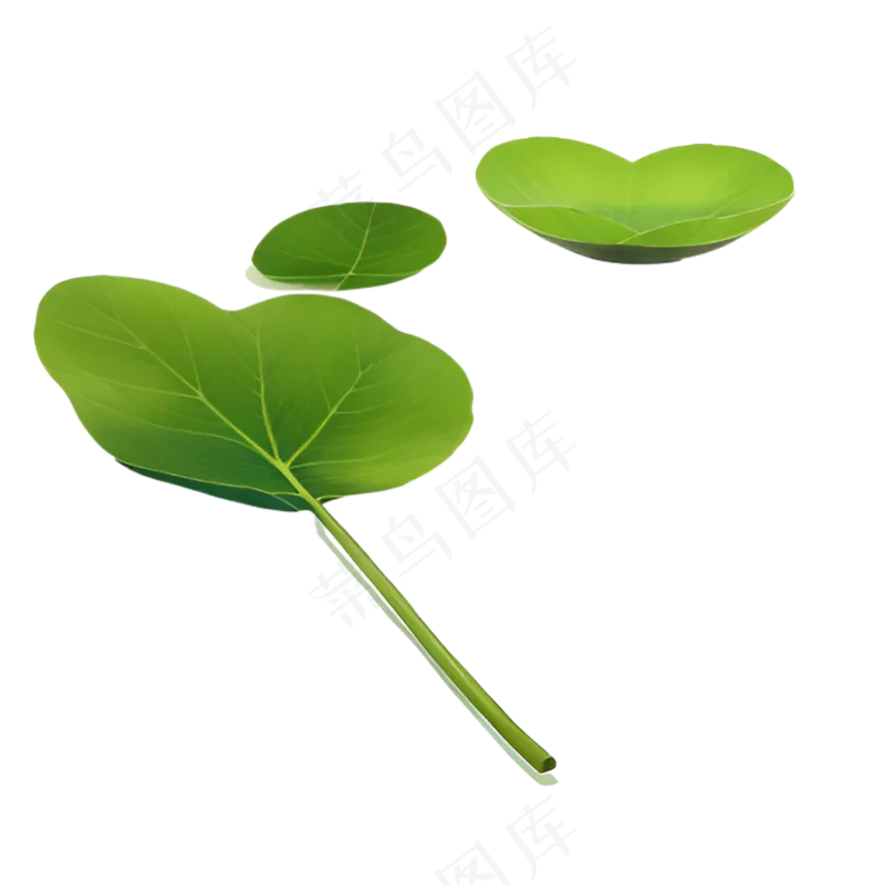 绿色 写实 手绘 PNG 植物 花 素材3