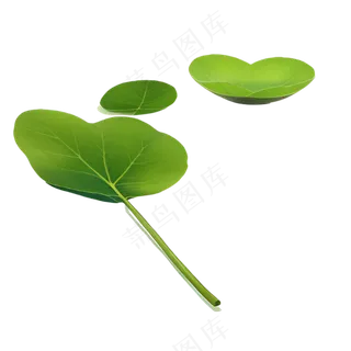 绿色 写实 手绘 PNG 植物 花 素材3