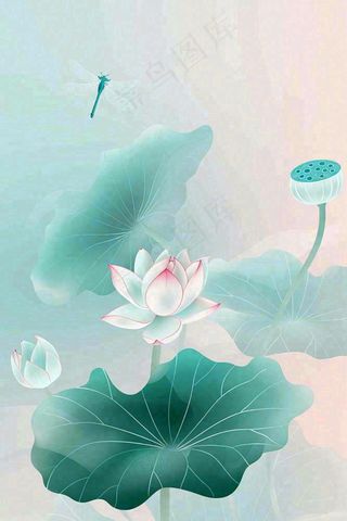 夏天小清新荷花荷叶静雅弥散风绿粉色蜻蜓立夏夏至处暑插画背景