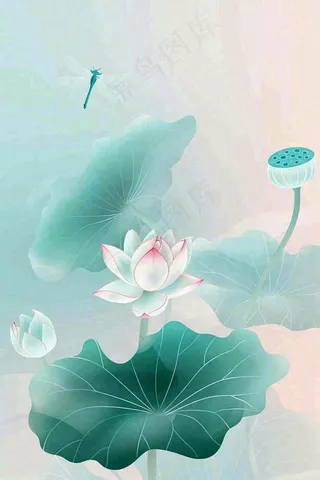 夏天小清新荷花荷叶静雅弥散风绿粉色蜻蜓立夏夏至处暑插画背景