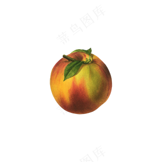 免抠一个插画桃子
